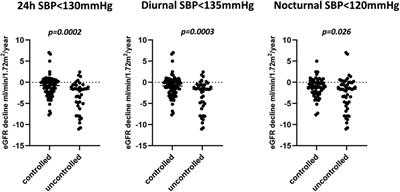 Blood pressure and vascular determinants of glomerular filtration rate decline in diabetic kidney disease